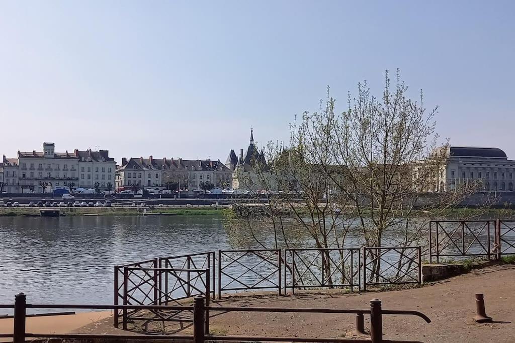 Les Marronniers Appartement Centre Saumur Bord De Loire Exteriér fotografie